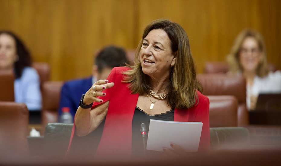 
			      La consejera de Desarrollo Educativo y Formación Profesional, María del Carmen Castillo, interviene desde su escaño en el Parlamento andaluz.			    
			  